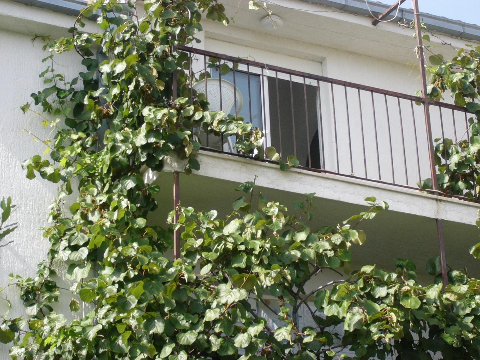Apartments Prizmic Podstrana Esterno foto
